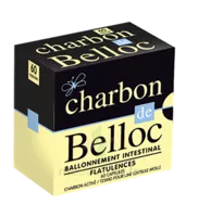 Charbon De Belloc 125 Mg Caps Molle B/60 à VILLEFONTAINE